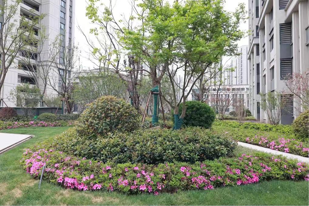 交通便当、配套齐全，，，，，，824套包管房即将交付！