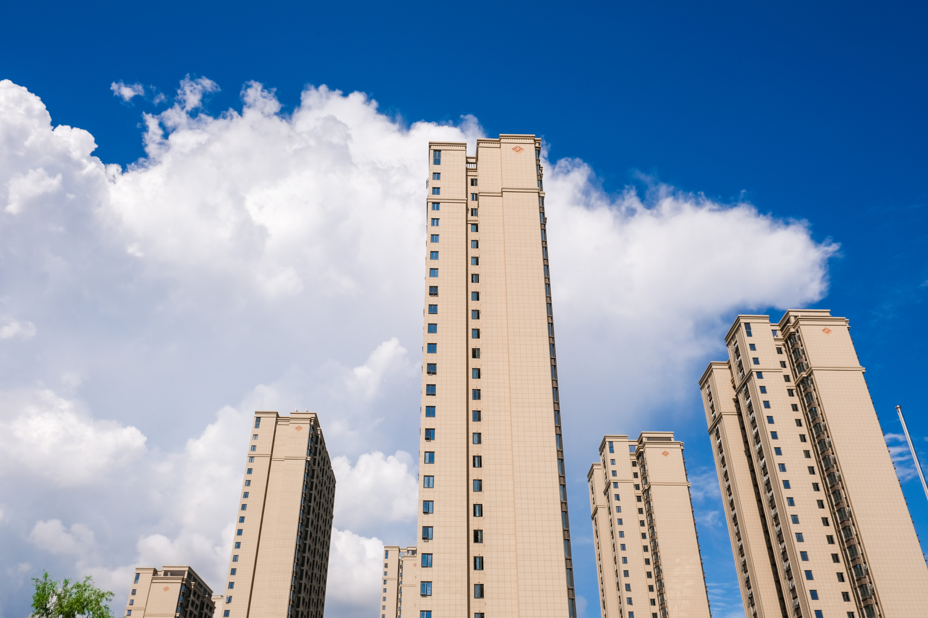 台风过境，，，这一大波民生项目be like（图说包管房）